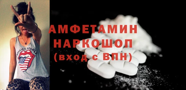 стаф Тутаев