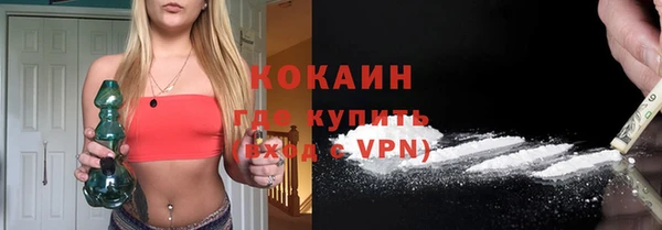 сатива Дмитровск