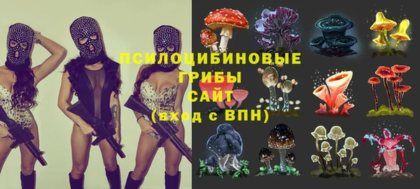 сатива Дмитровск