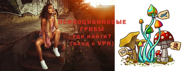 гашиш Дмитров