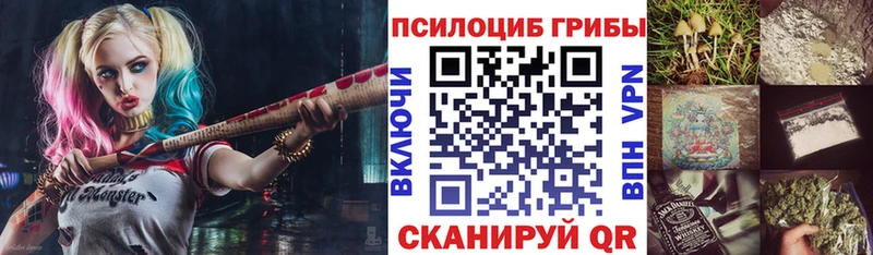 blacksprut ТОР  сколько стоит  Черногорск  Галлюциногенные грибы Magic Shrooms 