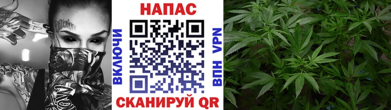 Бошки марихуана AK-47 Черногорск