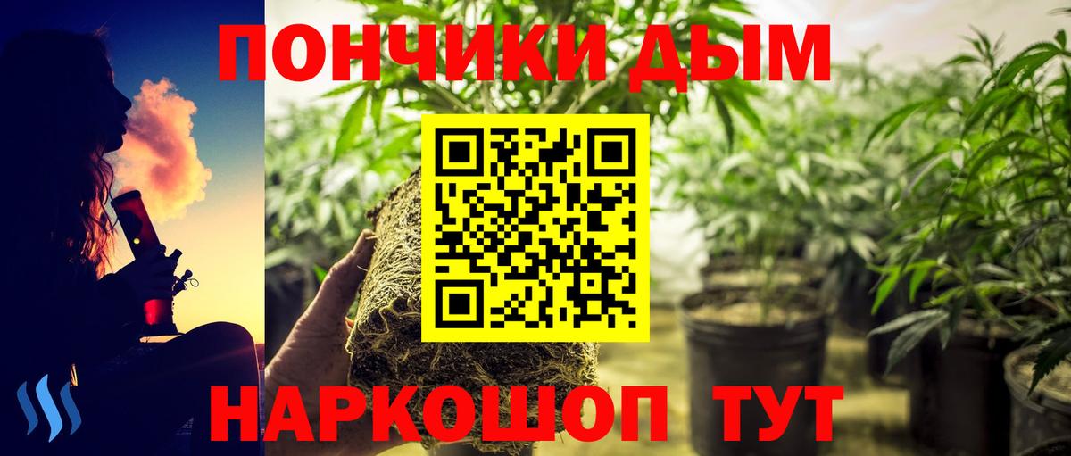 Каннабис индика Черногорск